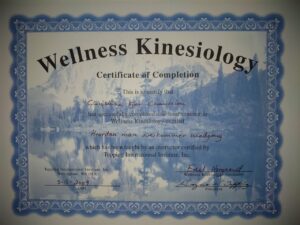 kursusbevis hvordan man overkommer modgang