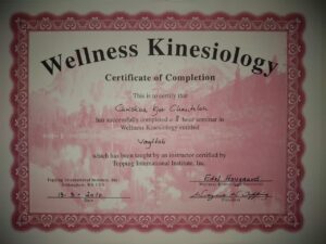 kursusbevis vægttab